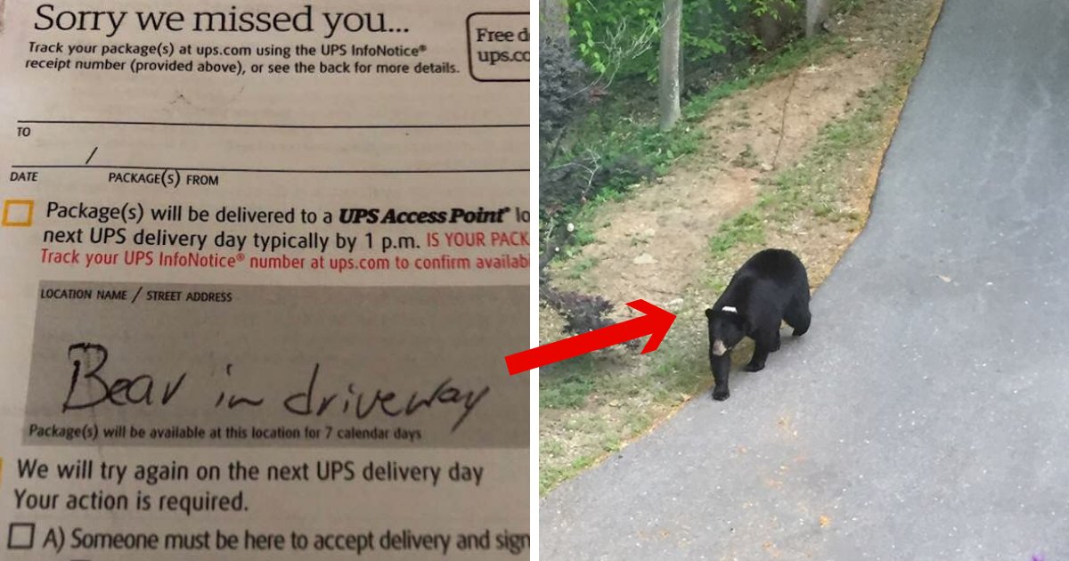 untitled design 17 1.png?resize=1200,630 - «Un ours dans l'allée!» La note d'UPS explique parfaitement pourquoi le colis n'a pas été livré sur le porche