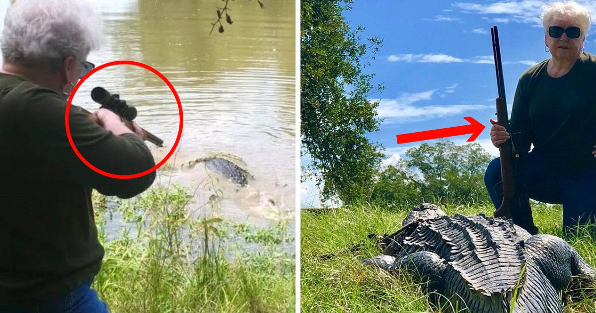 untitled design 5 2.png?resize=1200,630 - Une grand-mère de 73 ans tire sur un alligator de plus de 3 mètres qui a mangé son cheval miniature