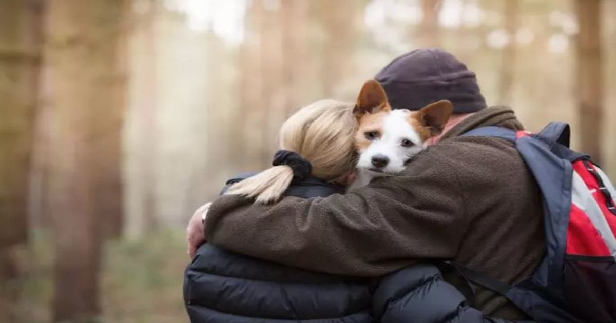 25 2.jpg?resize=412,232 - 15 Amazing Winning Entries to Dog Photographer of the Year 2017