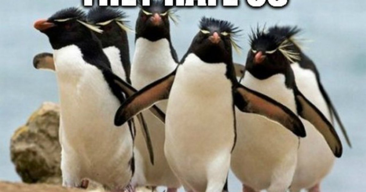 3 138.jpg?resize=412,275 - 24 Memes That Prove Penguins Are The Funniest Animals On Earth