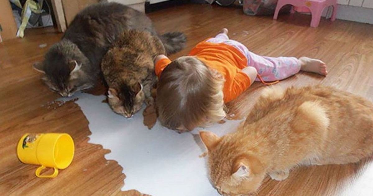 6 50.jpg?resize=412,275 - 29 Pics That Prove Kids Should NOT Be Left Alone With the Family Pet