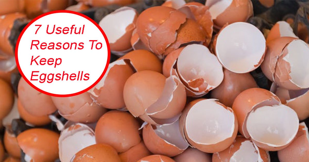 7 useful reasons to keep eggshells.jpg?resize=1200,630 - Voici 7 raisons utiles pour garder les coquilles d'œufs au lieu de les jeter