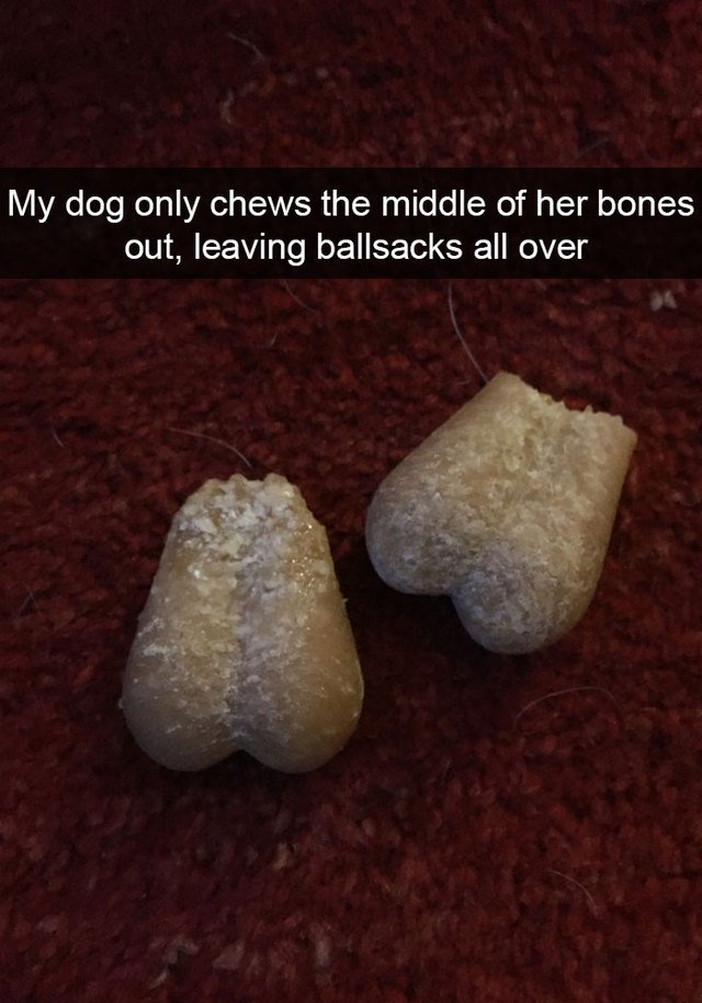 Ends of a chewed up bone look like ballsacks