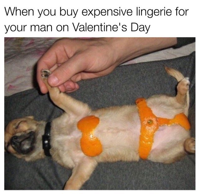 Chihuahua sleeping on its back with orange peels in the shape of a bikini on its chest. Caption: When you buy expensive lingerie for your man on Valentine