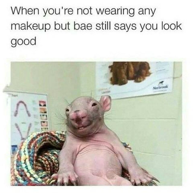 Hairless baby wombat smiling. Caption: When you