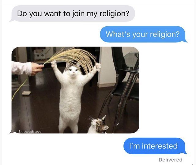 Cat meme about a new cat religion