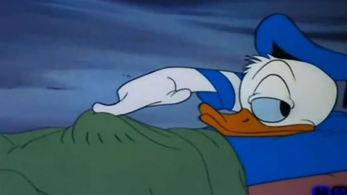 That Moment You Realize What Donald Really Has Under The Covers
