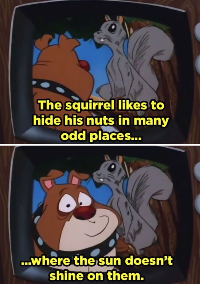 The Squirrel Hides Those Nuts
