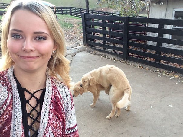 35 Hilarious Selfie Fails That Will Absolutely Make You Laugh Small Joys