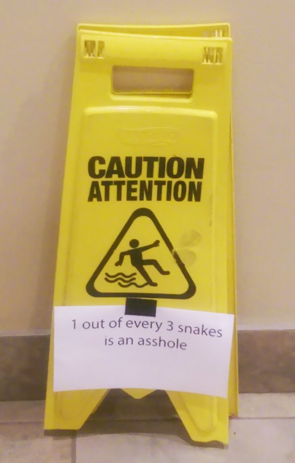 1 Out Of Every 3 Snakes