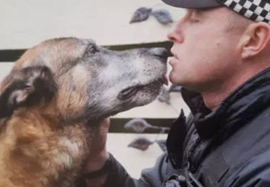 Police dog dies a hero.
