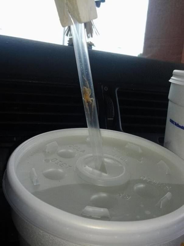 Lemme Just Take A Sip Of This... Nope