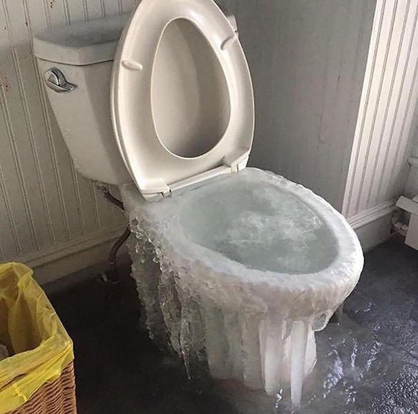 No Flush Monday