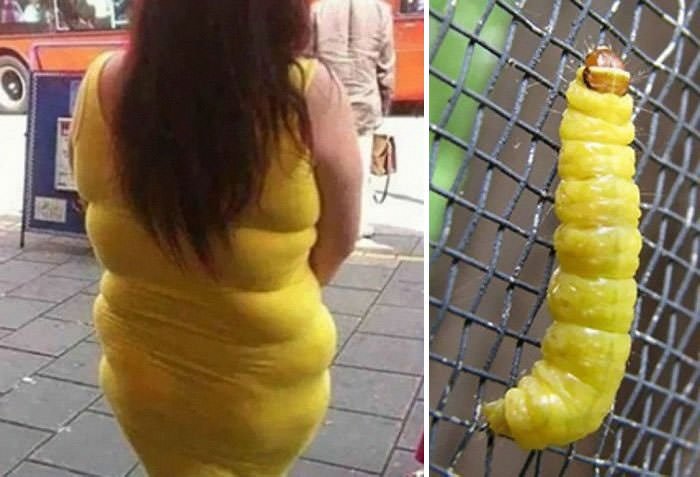 Yellow Dress And Caterpillar