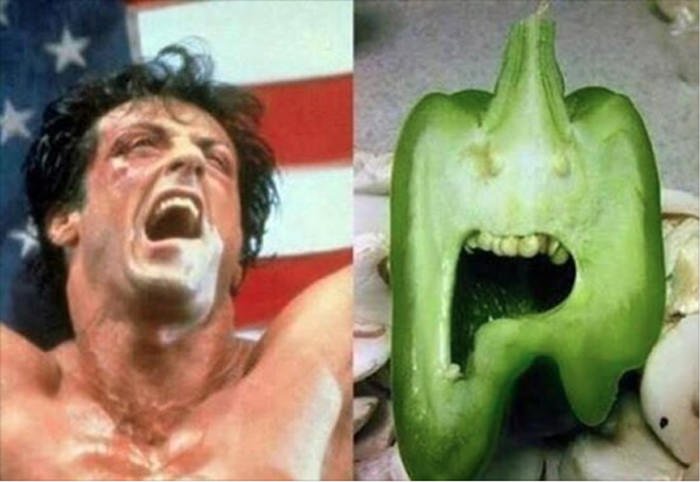 Sylvester Stallone And Paprika