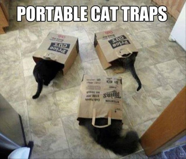 Three cats sticking their heads in paper grocery bags.