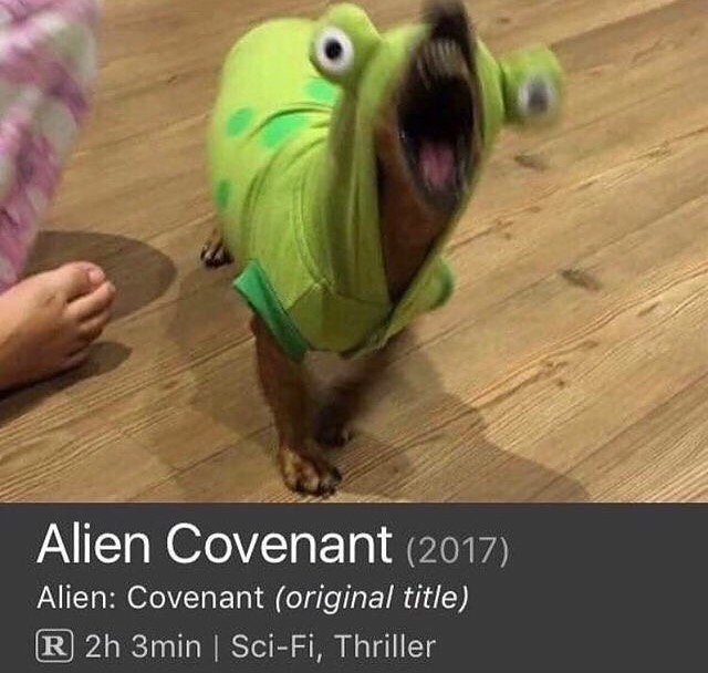 A dog, in an alien costume