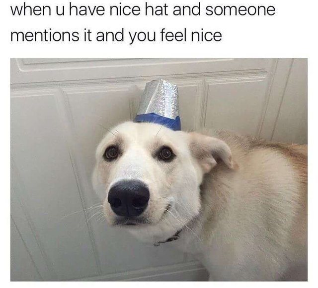 Dog wearing nice hat.