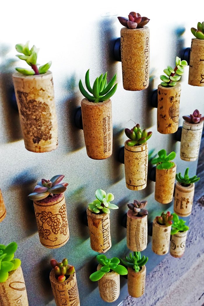 Succulent Wine Cork Favors With Cuttings