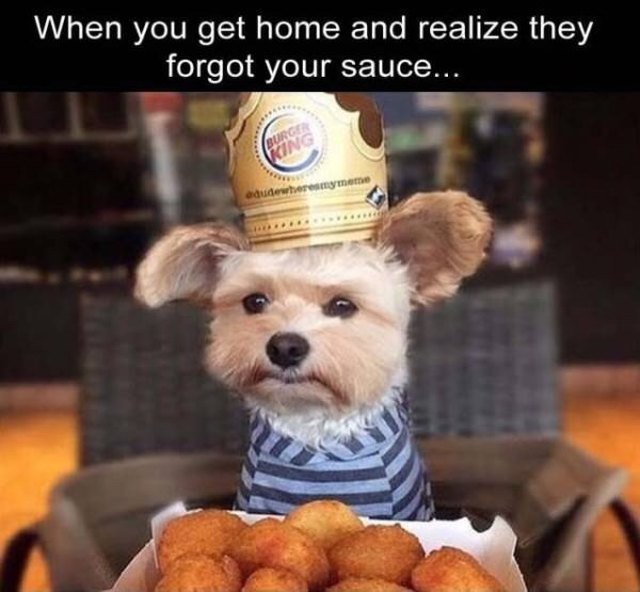 Dog wearing a Burger King crown with chicken nuggets but he still looks sad.