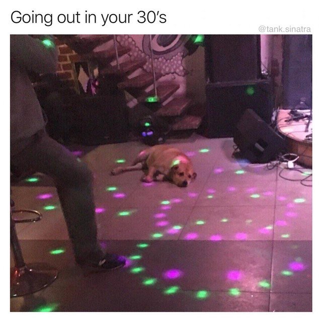 Dog laying on the floor in the middle of a party.