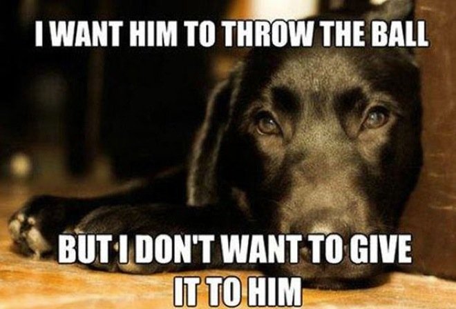 hilarious-dog-owners-situations-4