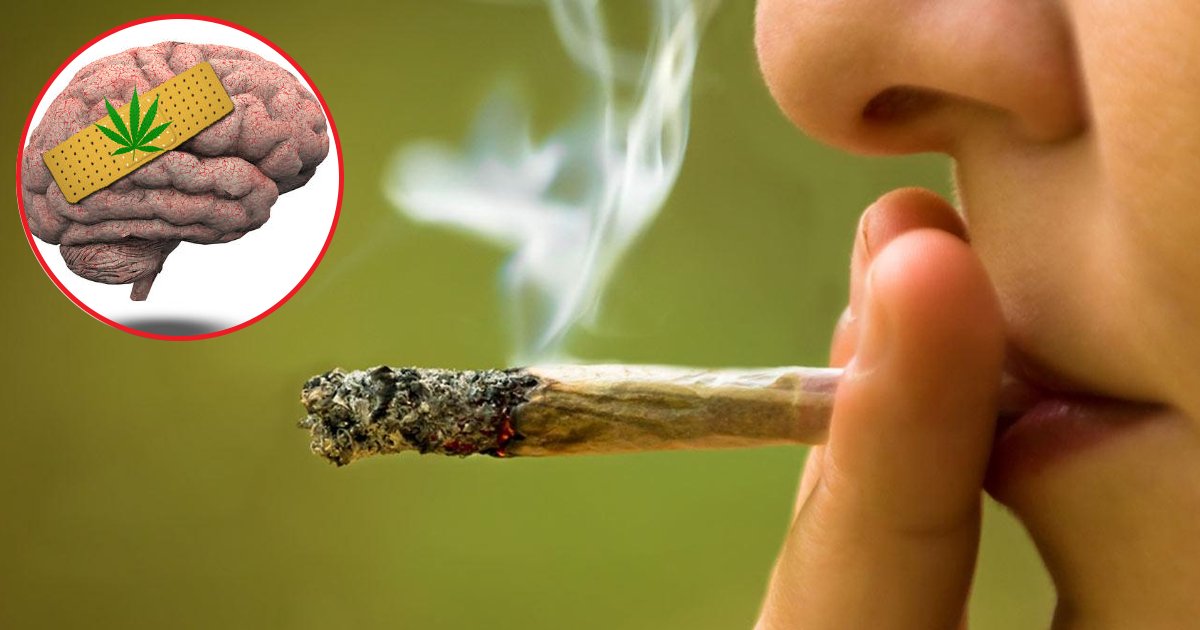 agag.jpg?resize=1200,630 - Researchers Found Cannabis Causes More 'Ever Lasting Damage' On Teenage Brains Than Alcohol