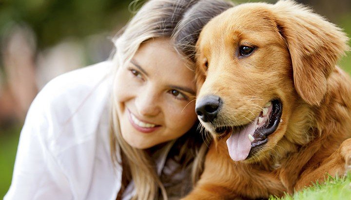 are you a responsible dog owner blog 720x410.jpg?resize=412,275 - Veterinário revela o que os donos devem fazer durante os últimos momentos de vida de seus pets