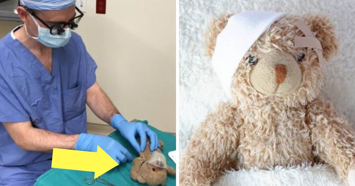 bear.png?resize=1200,630 - Un médecin opère un ours en peluche après qu'un patient de 8 ans lui ait demandé de le faire, et ça fait chaud au cœur!