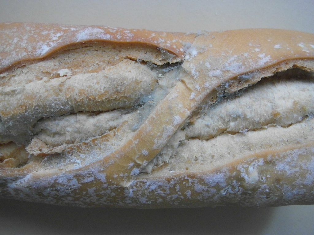 bread-1