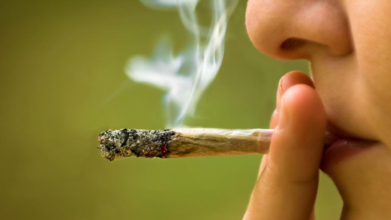 Le résultat de l'image pour Le cannabis inflige des dommages à long terme au cerveau des adolescentes: