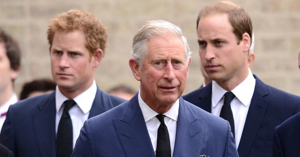 d6 3.png?resize=1200,630 - Harry and William Has Left Their Father Out of the History of Their Lives and Didn’t Mention Him in their Mother's Documentary