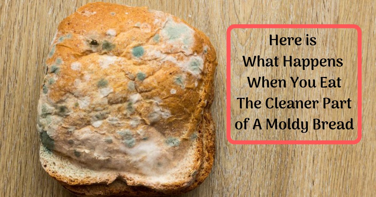 What Happens If You Eat Bread With Mold