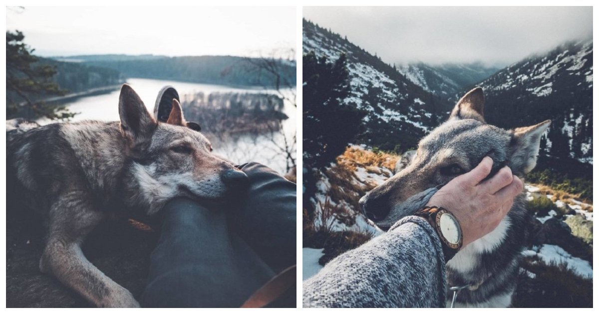 dog 6.jpg?resize=412,232 - Ce photographe a pris des photos de son chien en voyageant et elles sont merveilleuses