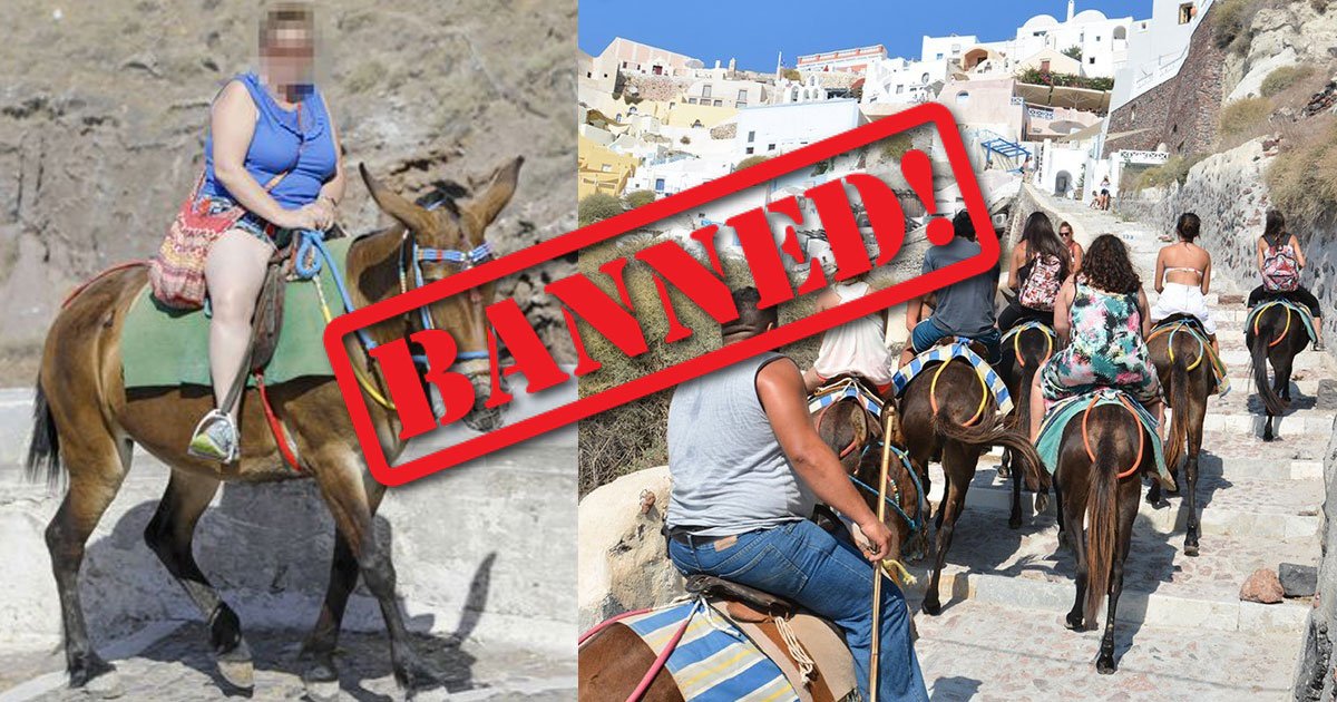 donkey ride ban.jpg?resize=1200,630 - Greece Banned Overweight Passengers From Riding The Donkeys After Releasing A Set Of Images Illustrating Injuries