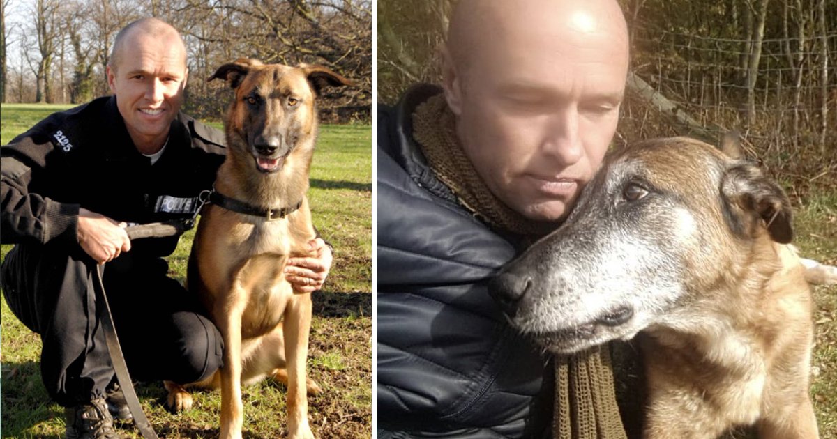 haha.jpg?resize=1200,630 - Un chien policier héroïque qui a déjà sauvé la vie d'une femme est mort dans les bras de son ami officier