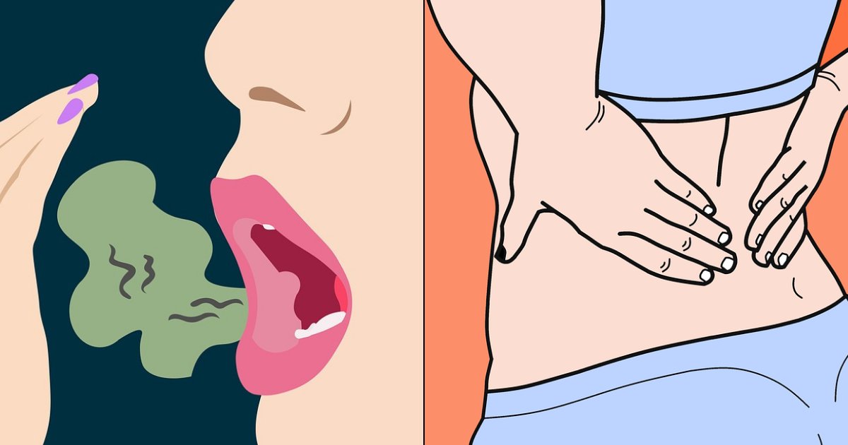 kidney4.png?fit=1024%2C538&ssl=1&strip=all - 10 Warning Signs That Your Kidneys Might Not Be Working Properly