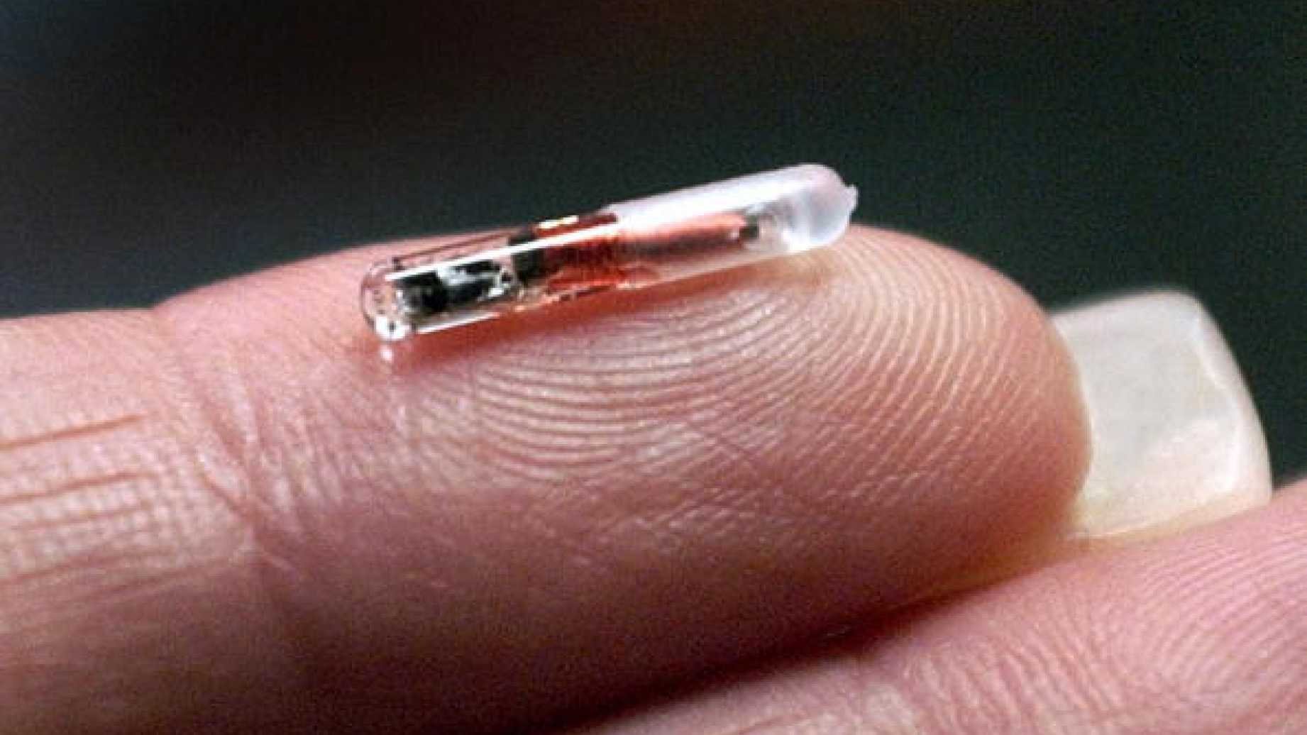 microchip.jpg?resize=412,275 - Chip implantado na pele já é realidade e pretende substituir cartões de créditos e chaves: Veja como funciona!