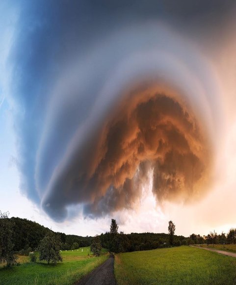nature-8