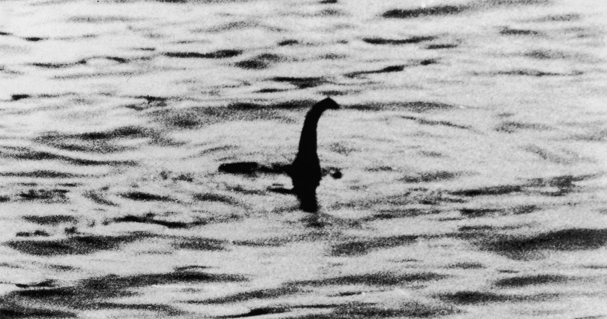 nesy.jpg?resize=412,275 - Encuentran una criatura similar al monstruo del Lago Ness, los científicos contestan de manera impactante