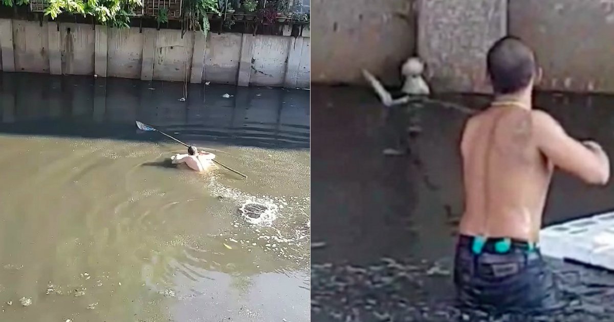 save kitten.jpg?resize=1200,630 - Un homme saute dans un canal pollué pour sauver un chaton échoué, de la noyade