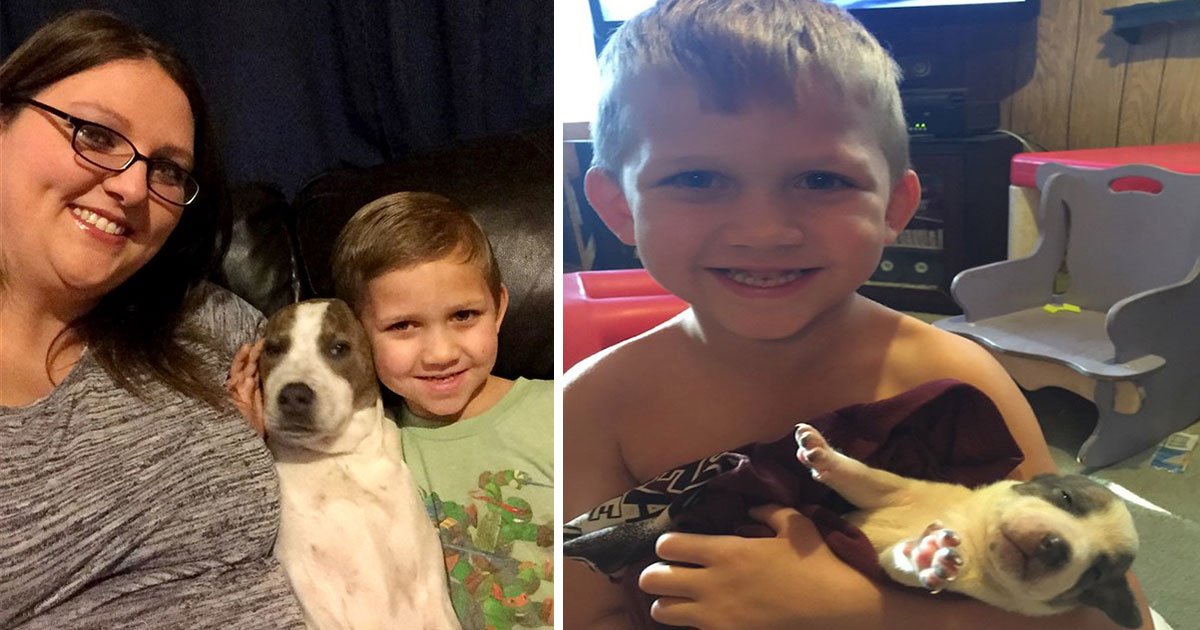untitled 1 4.jpg?resize=1200,630 - Moment réconfortant : un petit garçon retrouve son chien perdu après 8 mois