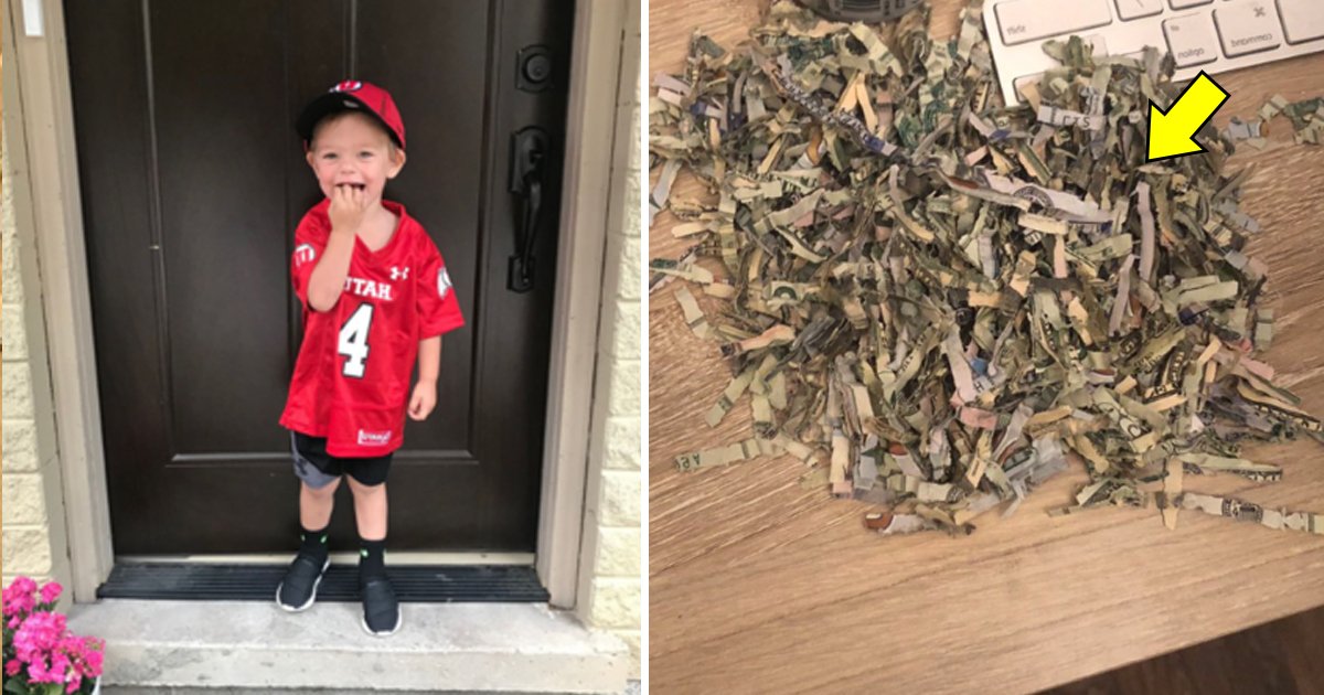 vdd.jpg?resize=1200,630 - 2-Year-Old Kid Shredded $1000 Of Cash That Parents Spent A Year Saving