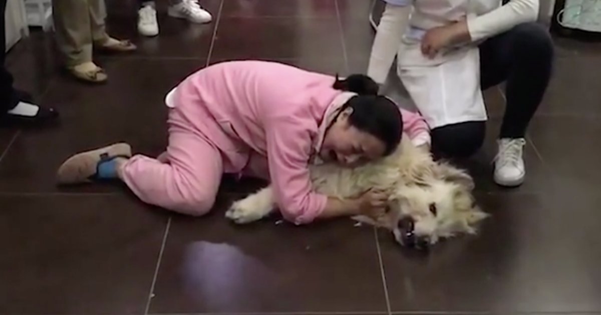 y2 2.png?resize=412,232 - Une femme frappée par le chagrin pleure sur le corps de son chien qui a été empoisonné après leur transfert de la Californie vers la Chine