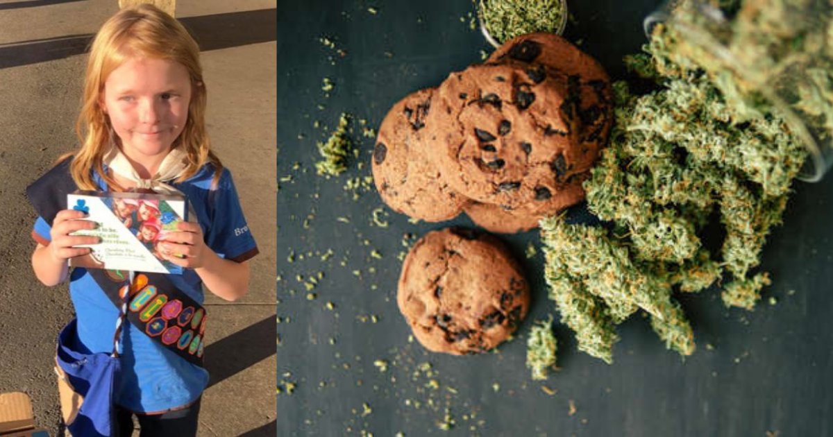 yogesh5 13.png?resize=1200,630 - Une fillette scout a vendu tous ses cookies devant un magasin de cannabis le même jour, lorsque la marijuana est devenue légale