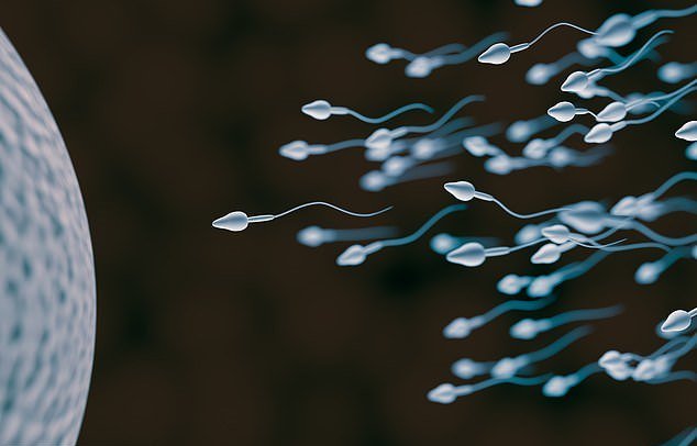Nombre de spermatozoides