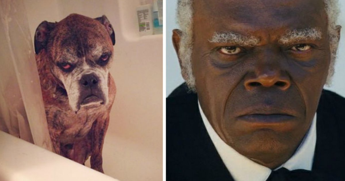 10 107.jpg?resize=412,275 - 35+ Animals That Exactly Look Like Celebrities And Famous People