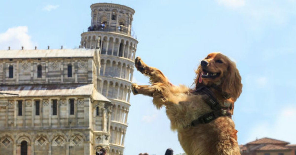 11 60.jpg?resize=412,275 - 15 Brilliantly Original Photos of People Posing with the Leaning Tower of Pisa