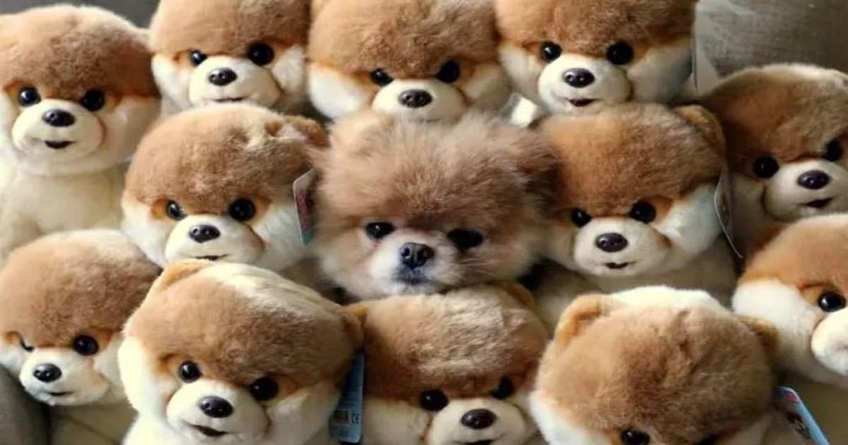 15 9.jpg?resize=412,232 - 27 Pets That Have Mastered the Art of Camouflage