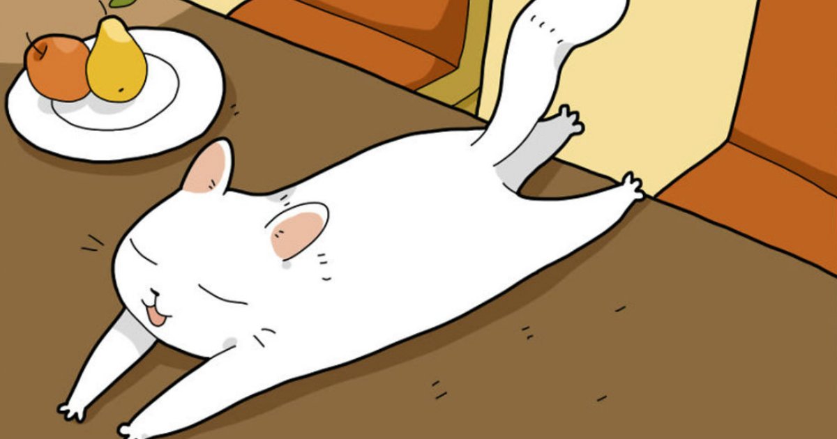 4 50.jpg?resize=412,232 - 18 Comics That Purrfectly Sum up Living with a Cat